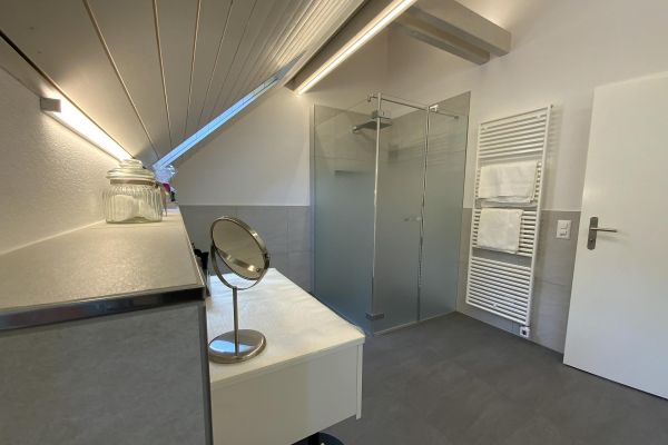 projekte-baeder4-maegenwil-08-1920pxFEADD4CB-1891-E44C-210A-EBC3BA0731EF.jpg